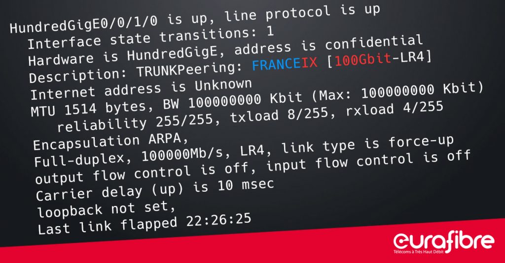 Opérateur télécoms Eurafibre peering 100G France-IX
